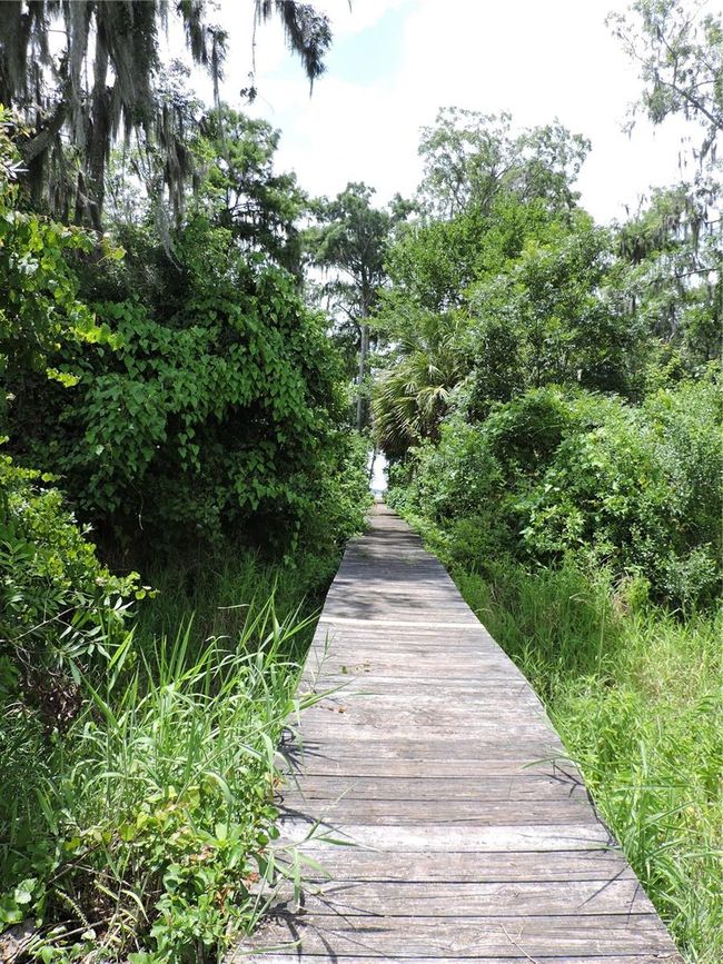192 Commercial Ave, Home with 0 bedrooms, 0 bathrooms and null parking in East Palatka FL | Image 7