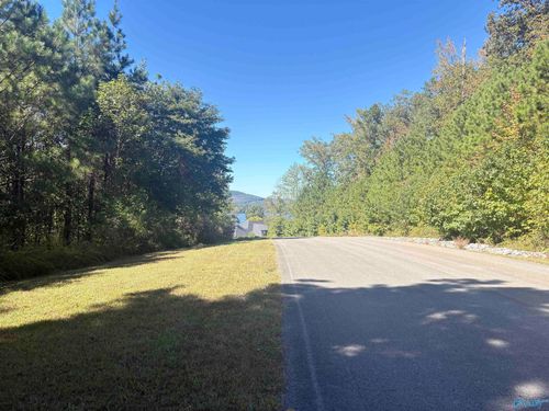 Lot 122 Lookout Mountain Dr, Scottsboro, AL, 35769 | Card Image