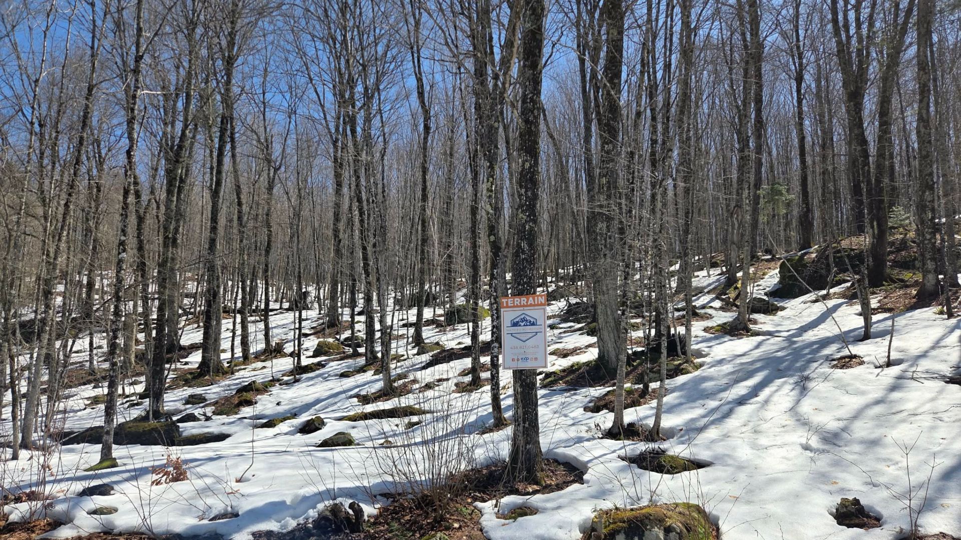 Land in Montcalm 5