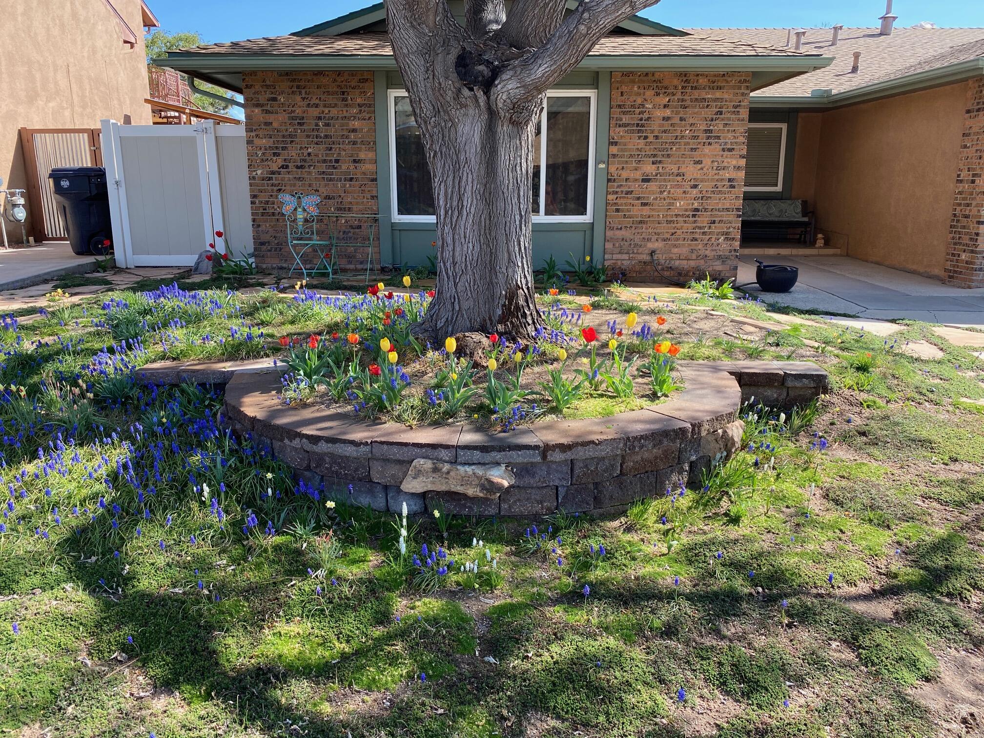 Residential in Albuquerque 2