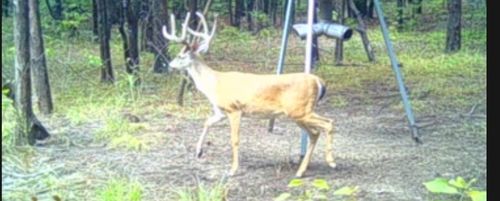 TBD Fm 2101, Quinlan, TX, 75474 | Card Image