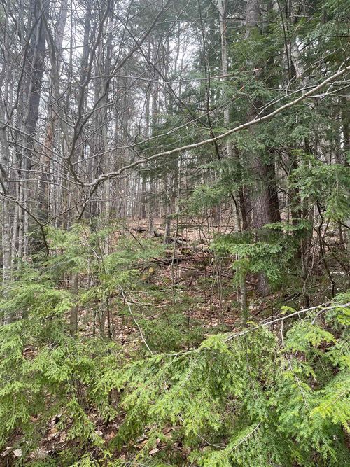 10-4-2 David Thompson Drive, Campton, NH, 03223 | Card Image