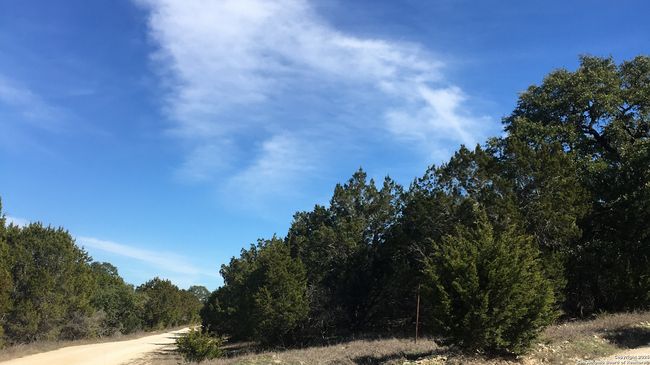 0 State Highway 46 W, Home with 0 bedrooms, 0 bathrooms and null parking in Spring Branch TX | Image 4