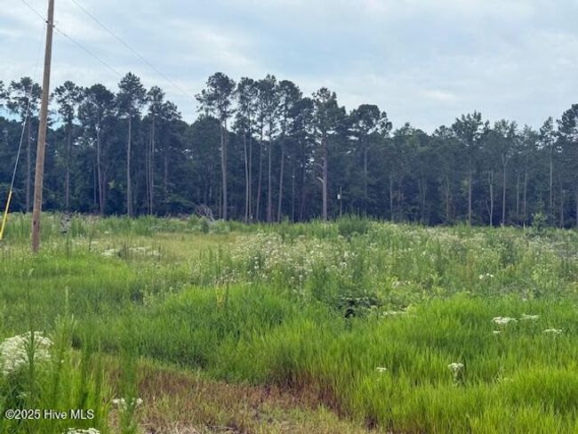 751 Stack Turner Rd, Home with 0 bedrooms, 0 bathrooms and null parking in Chadbourn NC | Image 6