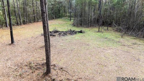 11542 Browns Rd, Folsom, LA, 70437-6037 | Card Image