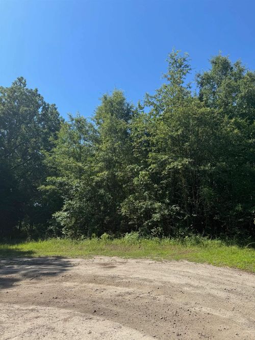 TBD Derrick Ct, Marion, SC, 29571 | Card Image