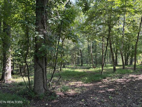 371 Walking Horse Trl, Rockwood, TN, 37854-4531 | Card Image