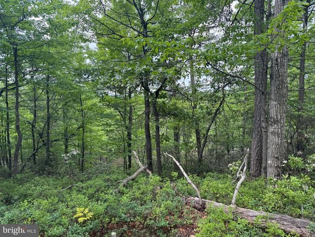 0 Emmaus Rd, Home with 0 bedrooms, 0 bathrooms and null parking in FORT VALLEY VA | Image 5