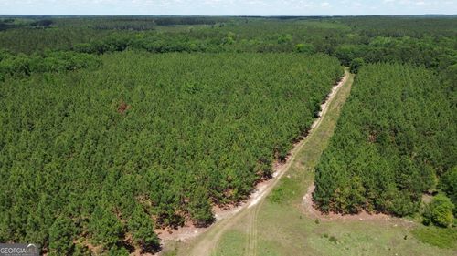 0 W River Rd, Rhine, GA, 31077 | Card Image