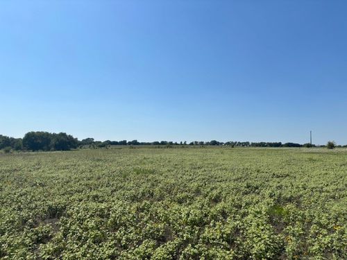 TBD Hickory Rd, Krum, TX, 76249 | Card Image