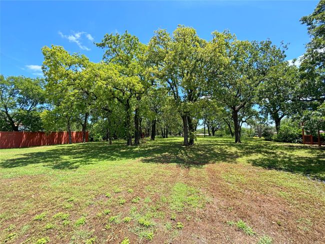 View of yard | Image 11