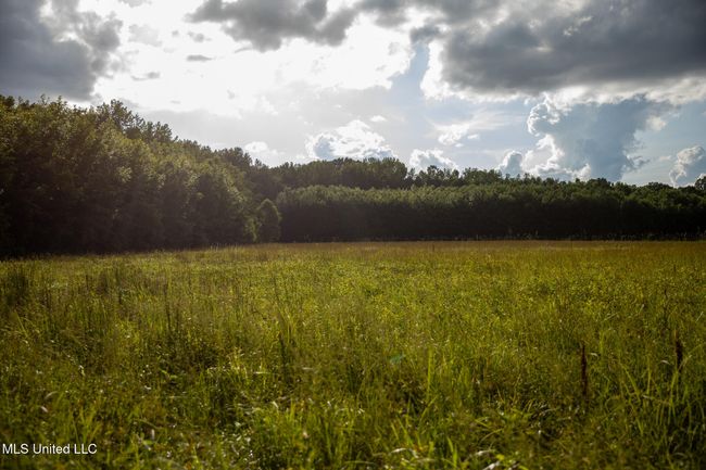 C55A6626 | Image 63
