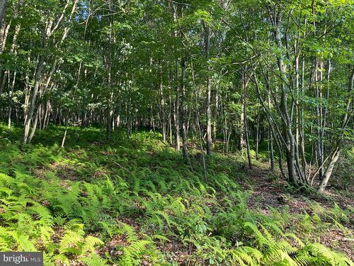 2 Thorn Bottom, LOST RIVER, WV, 26810 | Card Image