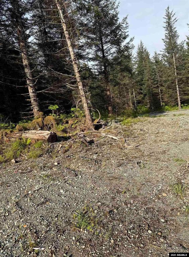 LOT-3-BLOCK-15 - 372 Cedar St., Home with 0 bedrooms, 0 bathrooms and null parking in Yakutat AK | Image 9