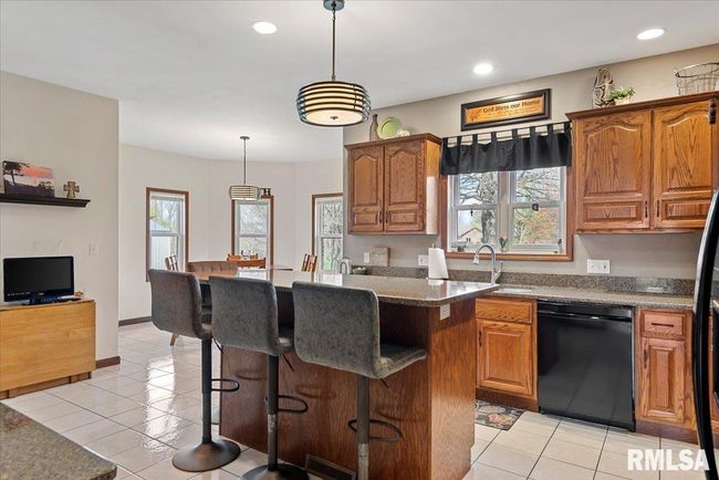 1241 Gracie, House other with 5 bedrooms, 5 bathrooms and null parking in Sherman IL | Image 19