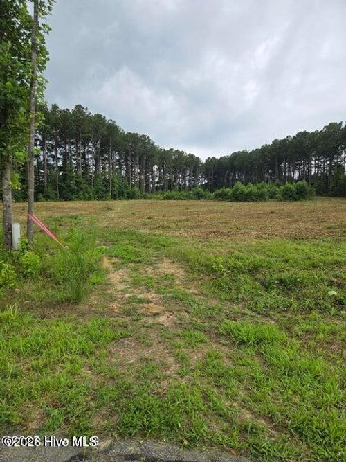 Lot 51 Roseheath Rd, Bailey, NC, 27807 | Card Image