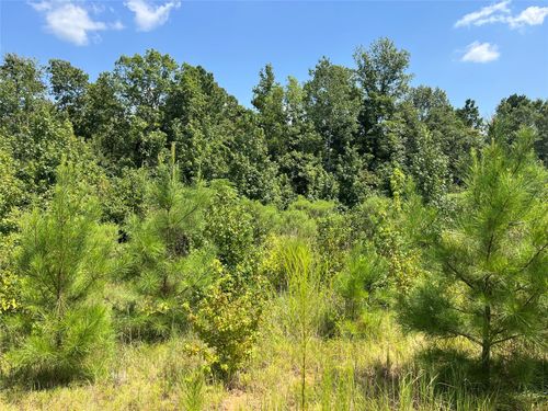 0 Ellis Jones Rd, Bienville, LA, 71008 | Card Image