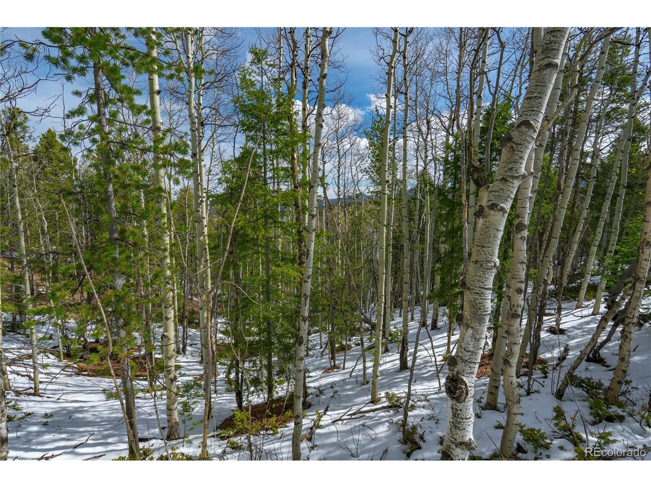 Land in Cripple Creek 2
