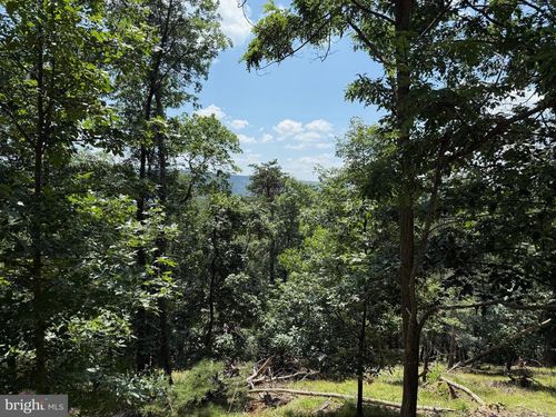 243 Bluffs On The Potomac, ROMNEY, WV, 26757 | Card Image