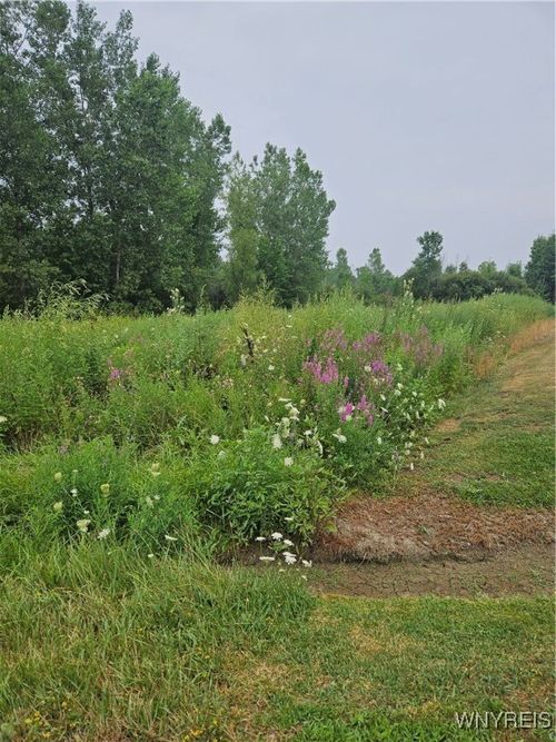 9317 Tonawanda Creek Rd, Clarence Ctr, NY, 14032-9104 | Card Image