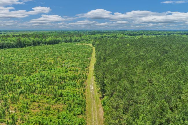 DJI_0342 | Image 17