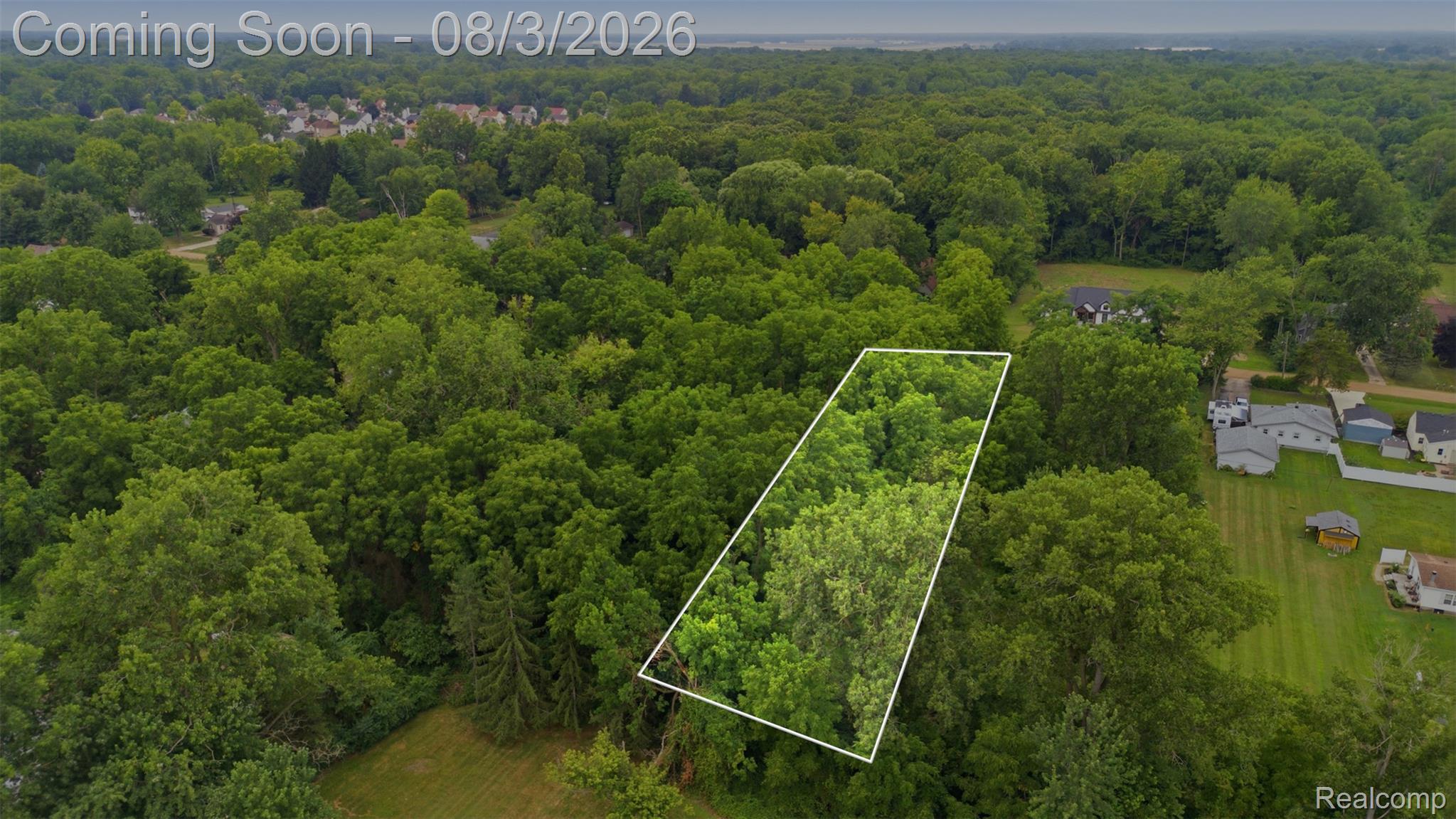 Land in Van Buren Charter Township 3