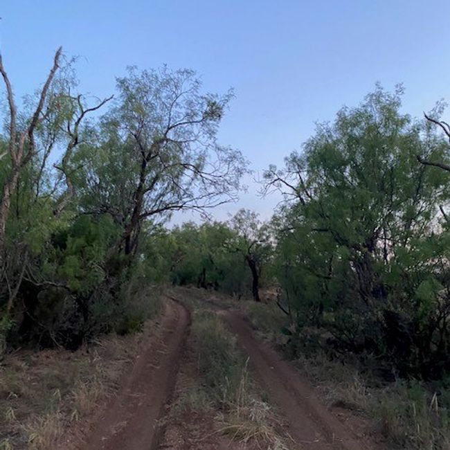 000 Private Rd 3922, Home with 0 bedrooms, 0 bathrooms and null parking in Miles TX | Image 6