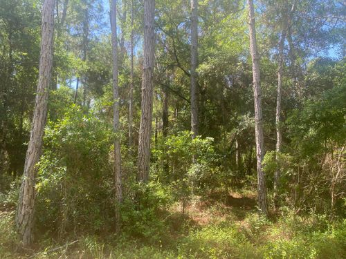 Tbd Ne 155th Ln, FORT MC COY, FL, 32134 | Card Image