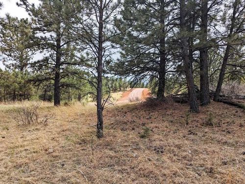 Lot 3 Argyle Ridge Ct., Hot Springs, SD, 57747 | Card Image