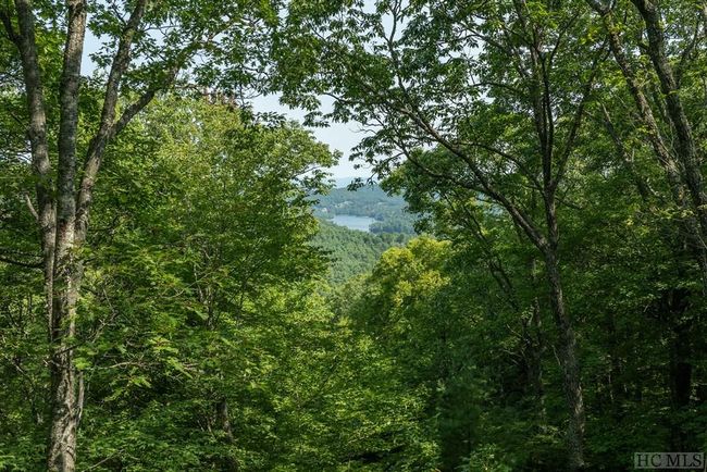 15 Horseshoe Bend Ln, Home with 0 bedrooms, 0 bathrooms and null parking in Cullowhee NC | Image 6