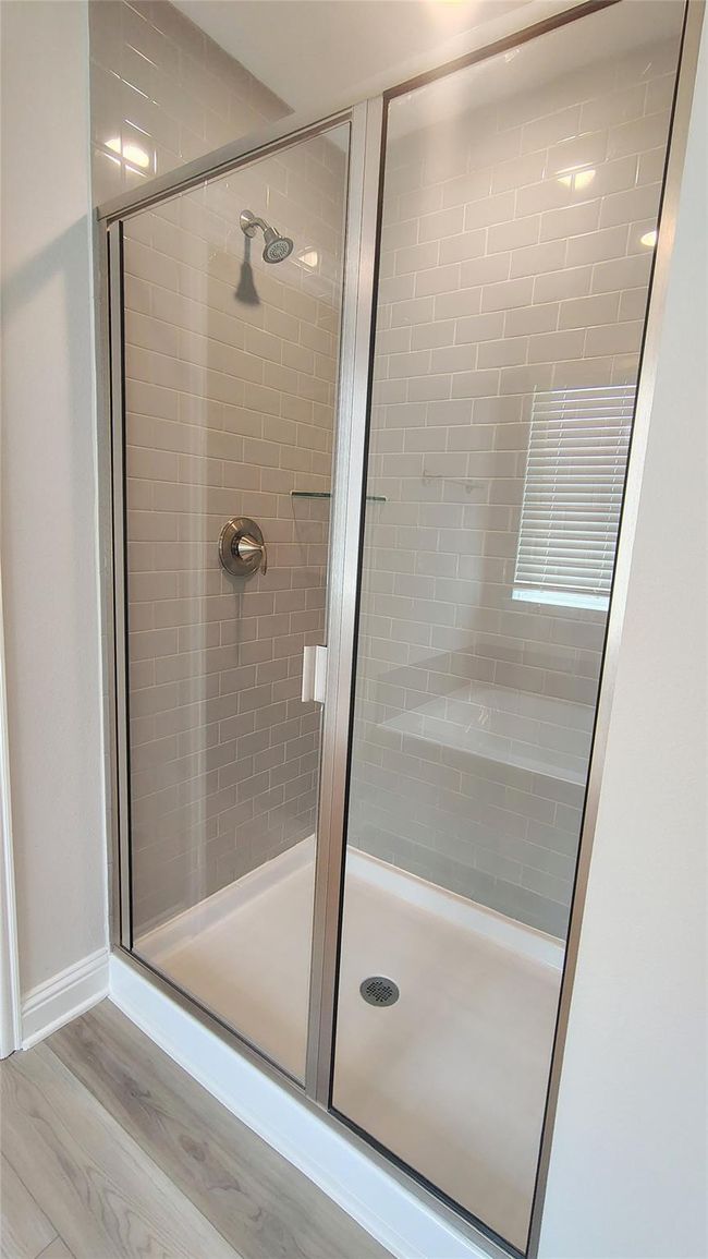 Stock Photo Spacious Separate Shower | Image 13