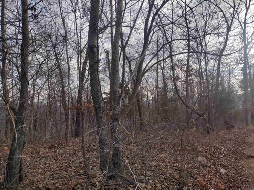 0 Geier Rd, Mountain View, AR, 72560 | Card Image