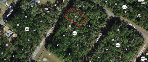 10075 N Bamboo Way, CITRUS SPRINGS, FL, 34434 | Card Image