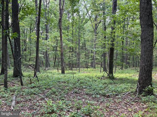 LOT 11 Rock Creek Trail, AUGUSTA, WV, 26704 | Card Image