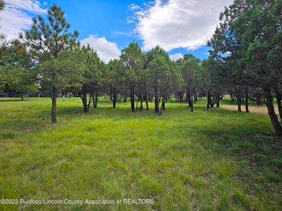 103 Woodridge Court, Home with 0 bedrooms, 0 bathrooms and null parking in Alto NM | Image 1