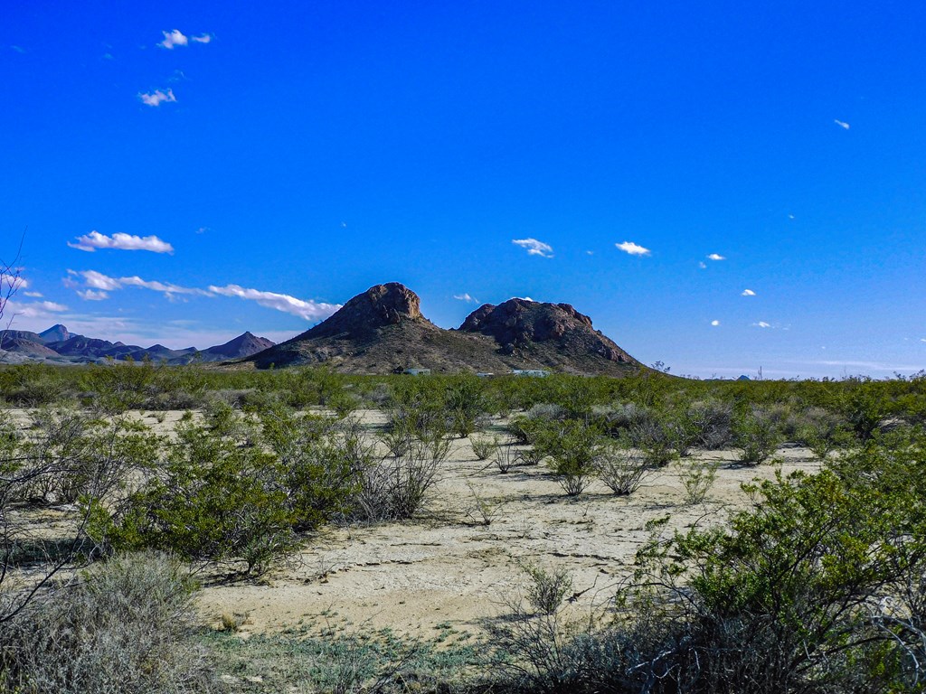 Land in Terlingua 2
