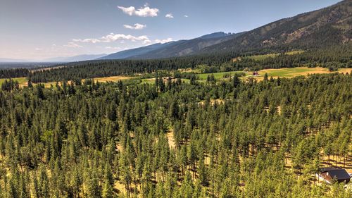 NHN Holloway Ln, Florence, MT, 59833 | Card Image