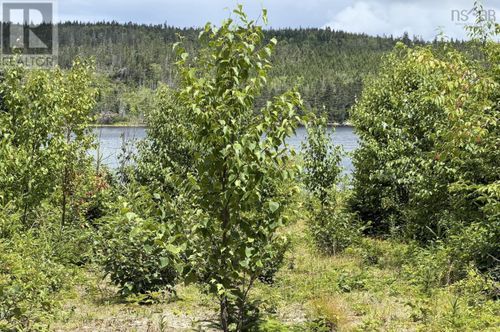 2 W Liscomb Point Rd, Liscomb, NS, B0J | Card Image