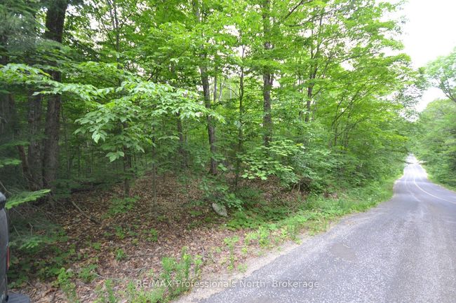 0 Harburn Rd, Home with 0 bedrooms, 0 bathrooms and null parking in Haliburton ON | Image 15