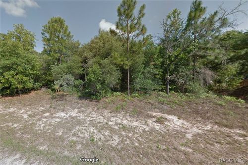 3339 W Early Pl, DUNNELLON, FL, 34433-4977 | Card Image