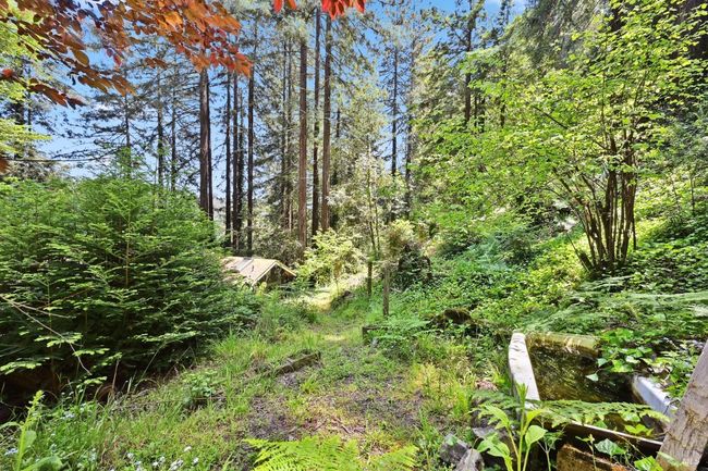 21713 Starrett Hill Dr, House other with 2 bedrooms, 2 bathrooms and 2 parking in Monte Rio CA | Image 48