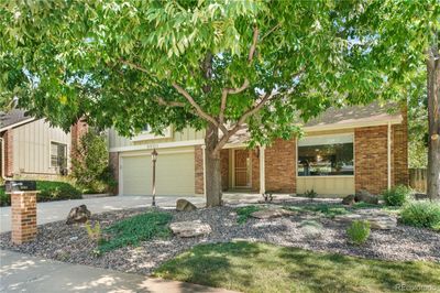 9901 W 86th Place, House other with 4 bedrooms, 1 bathrooms and 2 parking in Arvada CO | Image 3