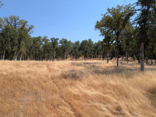 18340 Henry D Ct, Sonora, CA, 95370 | Card Image