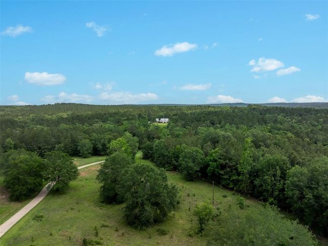 17042 State Highway 21 E, Home with 7 bedrooms, 9 bathrooms and 3 parking in Grapeland TX | Image 4