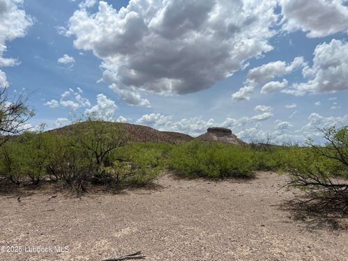 112465 Block 2 T&P Presidio County, Presidio, TX, 79845 | Card Image