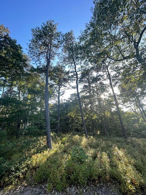 30 Sam Hollow Rd, Wellfleet, MA, 02667-7098 | Card Image