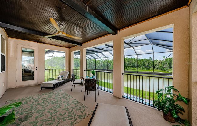 29038 Picana Ln, House other with 4 bedrooms, 4 bathrooms and null parking in WESLEY CHAPEL FL | Image 46