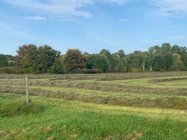 5910 S Corey Rd, Home with 4 bedrooms, 2 bathrooms and null parking in Perry MI | Image 64