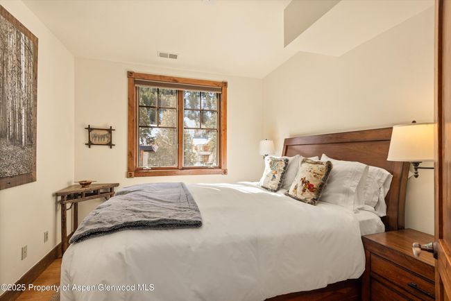 B202 - 503 W Main St, Condo with 3 bedrooms, 3 bathrooms and 1 parking in Aspen CO | Image 19