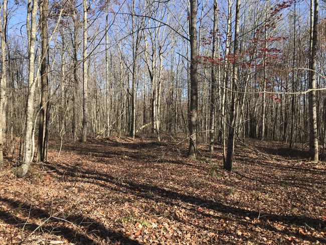 6 Hobbstown Rd, Home with 0 bedrooms, 0 bathrooms and null parking in Dunlap TN | Image 18